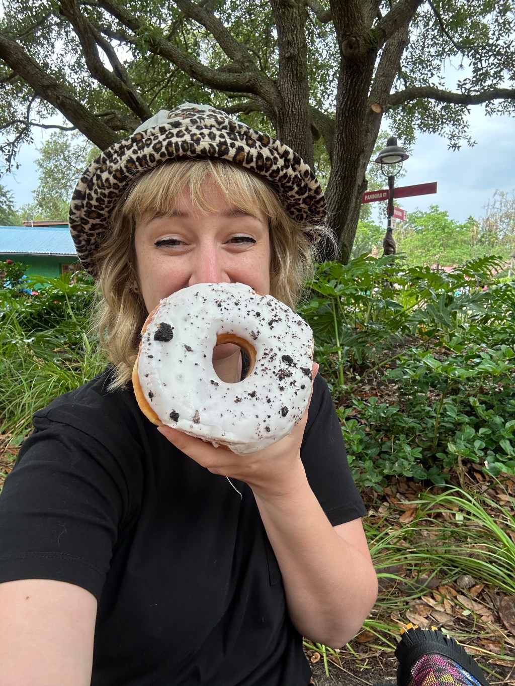 Pros & Cons of the Disney Dining&nbsp;Plan